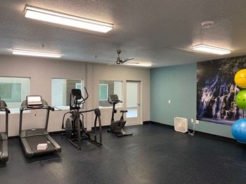 24/7 Fitness center with state-of-the-art equipment including free weights and trx system